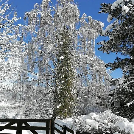 Апартаменты Angi's *